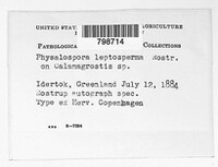 Image of Physalospora leptosperma